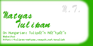 matyas tulipan business card